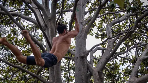 Víctor Manuel Fleites, el 'Tarzán' de Barcelona, en plena acción Víctor Manuel Fleites, el 'Tarzán' de Barcelona, en plena acción