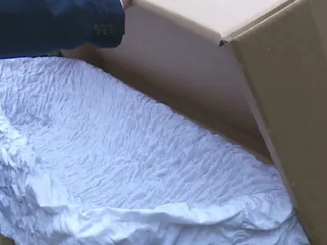 Ataúdes de cartón Ataúdes de cartón