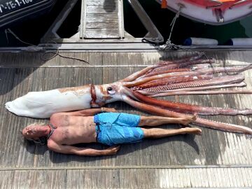 Encuentran un calamar gigante de 3 metros y más de 200 kilos entre Tenerife y La Gomera