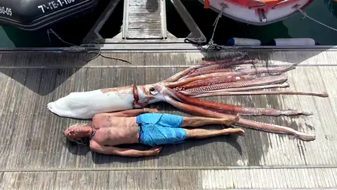 Encuentran un calamar gigante de 3 metros y más de 200 kilos entre Tenerife y La Gomera Encuentran un calamar gigante de 3 metros y más de 200 kilos entre Tenerife y La Gomera