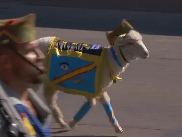 El cordero de la Legión. El cordero de la Legión.