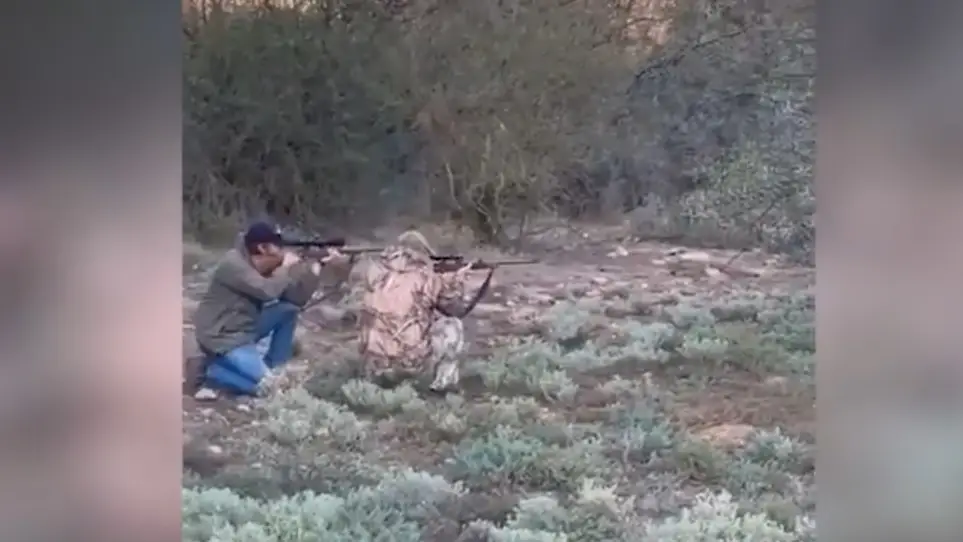 Mario Aberto Canales Najjar segundos antes de ser embestido por un búfalo en Argentina Mario Aberto Canales Najjar segundos antes de ser embestido por un búfalo en Argentina