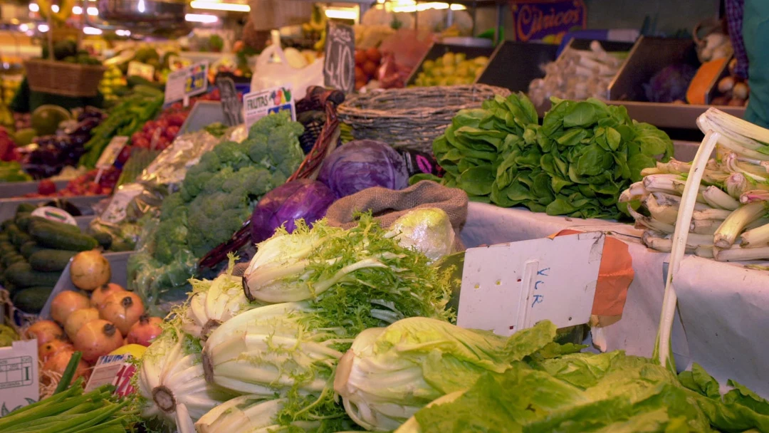 Alimentos Alimentos