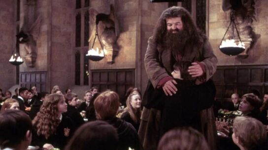 Robbie Coltrane en 'Harry Potter'