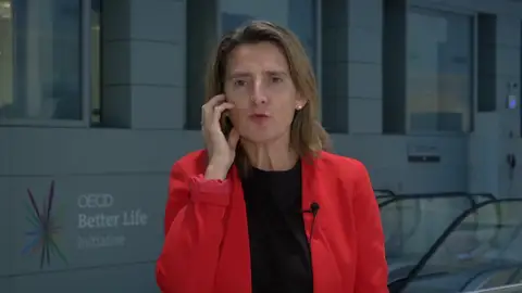 Teresa Ribera, ministra de Transición Ecológica Teresa Ribera, ministra de Transición Ecológica