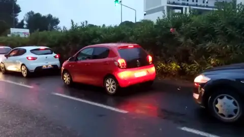 cola huelga cola huelga