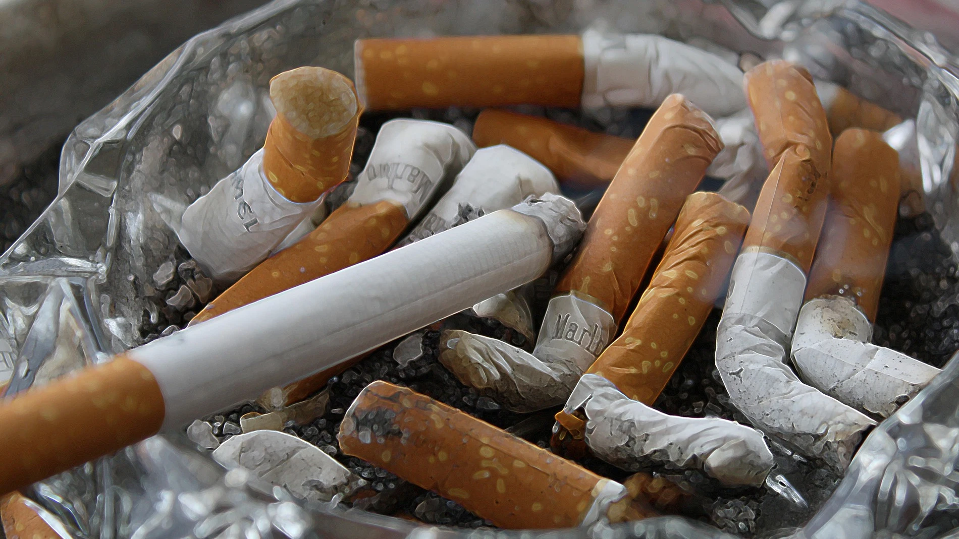 Miles de españoles fuman ahora 'pesticida' para ahorrarse el precio del  tabaco