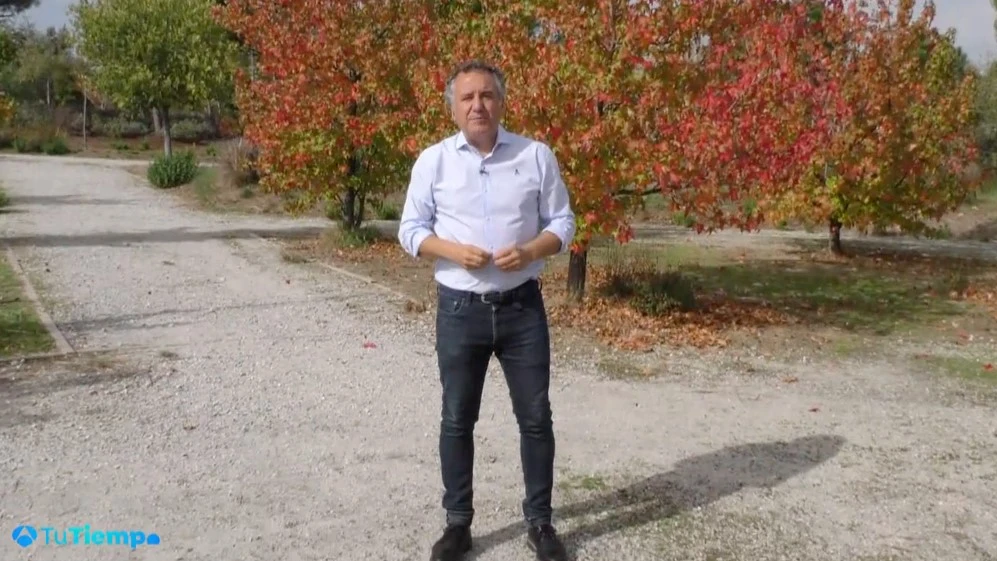 Roberto Brasero