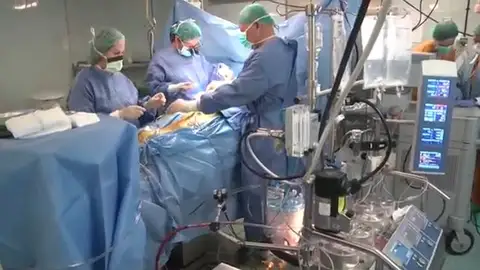 Tráfico de órganos Tráfico de órganos