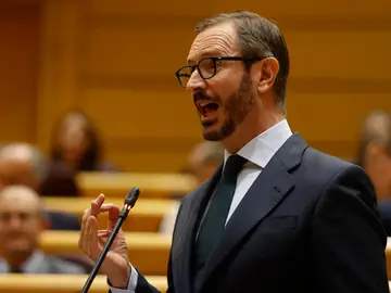 Javier Maroto, senador del PP Javier Maroto, senador del PP