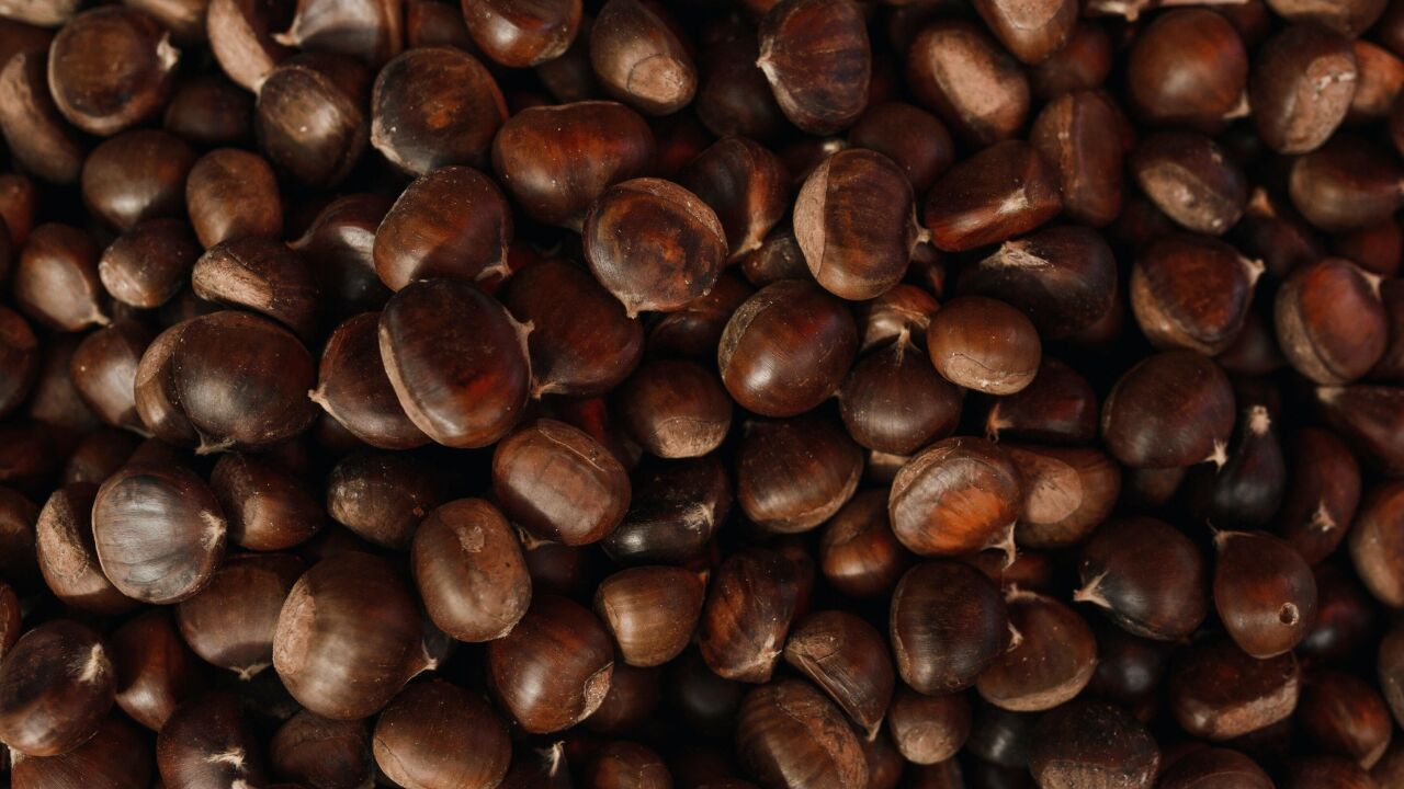 ¿Realmente son saludables las castañas?