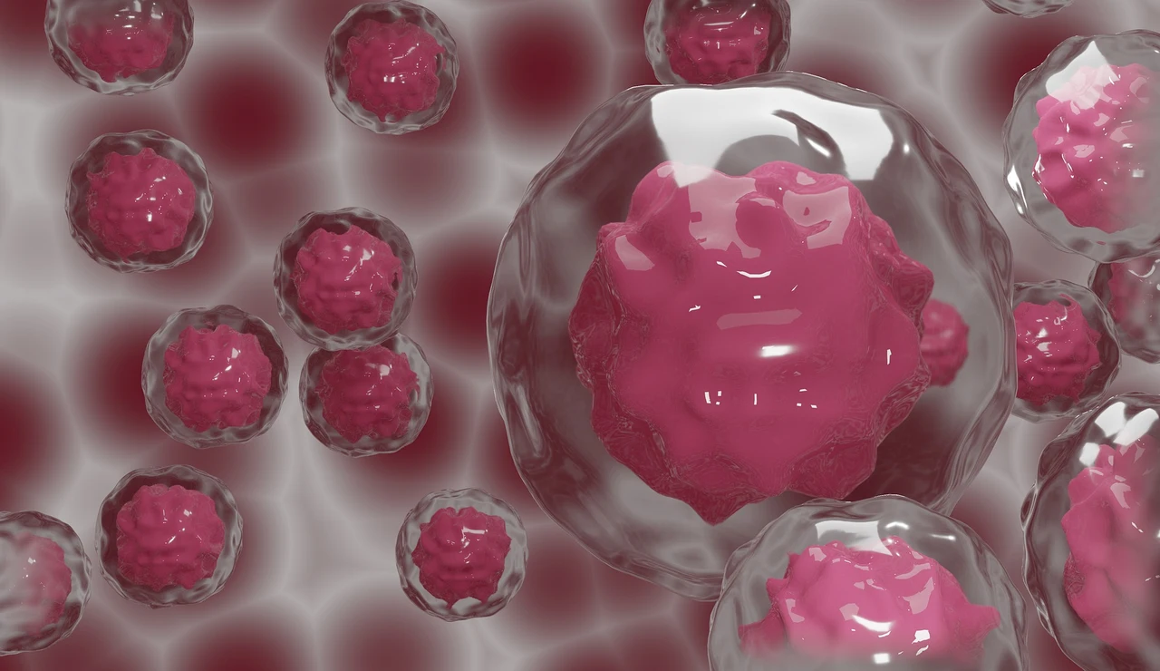 Imagen de archivo de un grupo de células