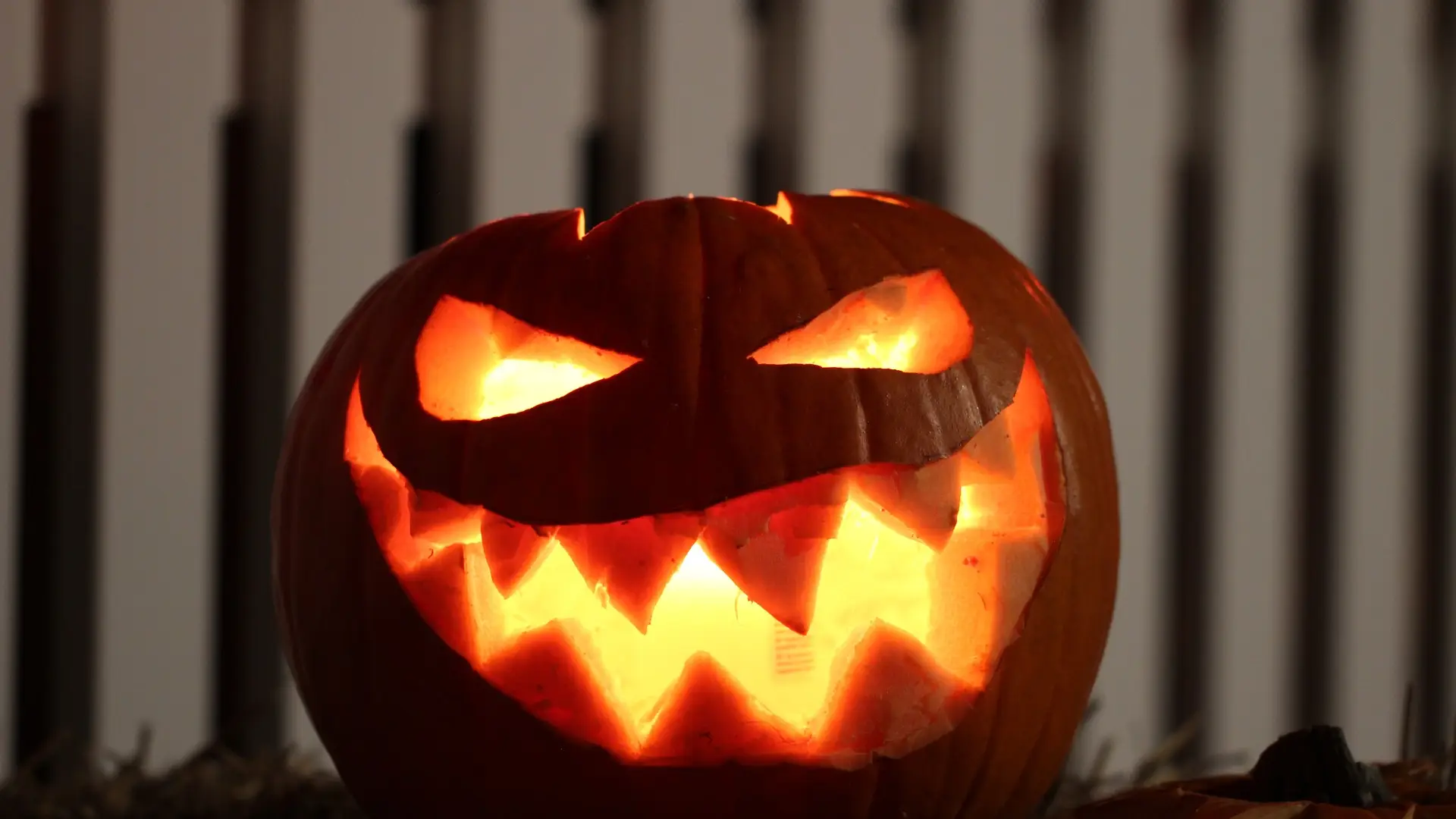 Imagen de una calabaza