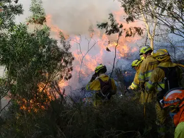 Un operativo de bomberos trata de apagar uno de los focos de los incendios de Cantabria Un operativo de bomberos trata de apagar uno de los focos de los incendios de Cantabria