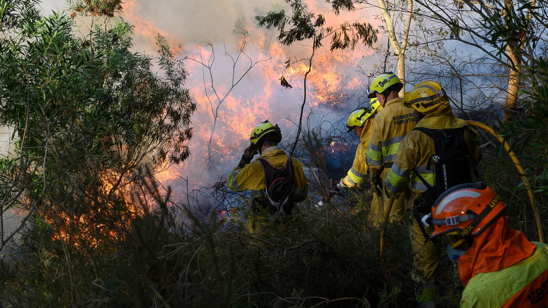 Un operativo de bomberos trata de apagar uno de los focos de los incendios de Cantabria