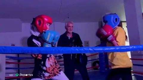 El boxeo causa furor entre las mujeres libias El boxeo causa furor entre las mujeres libias