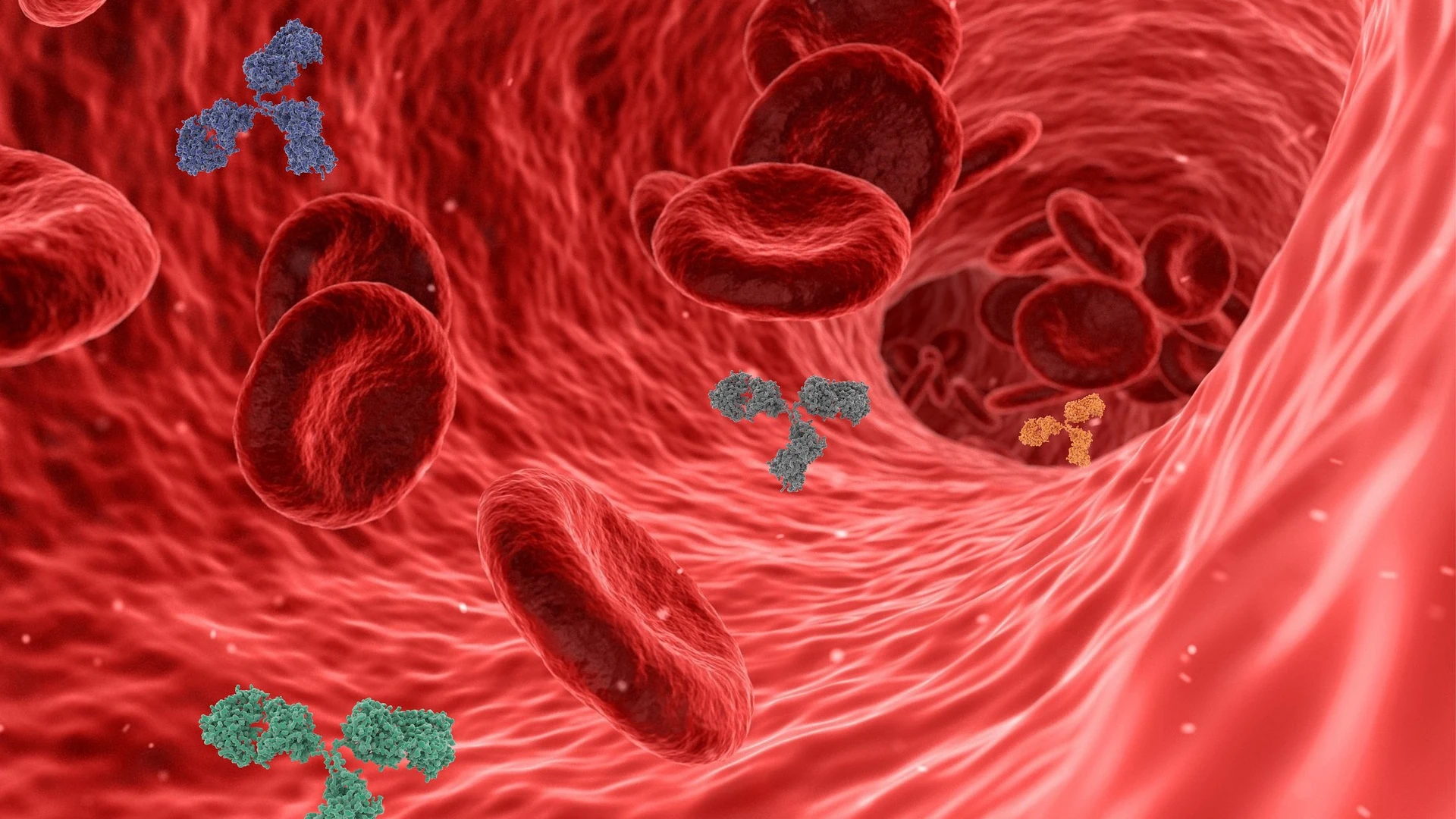 Cáncer Cáncer