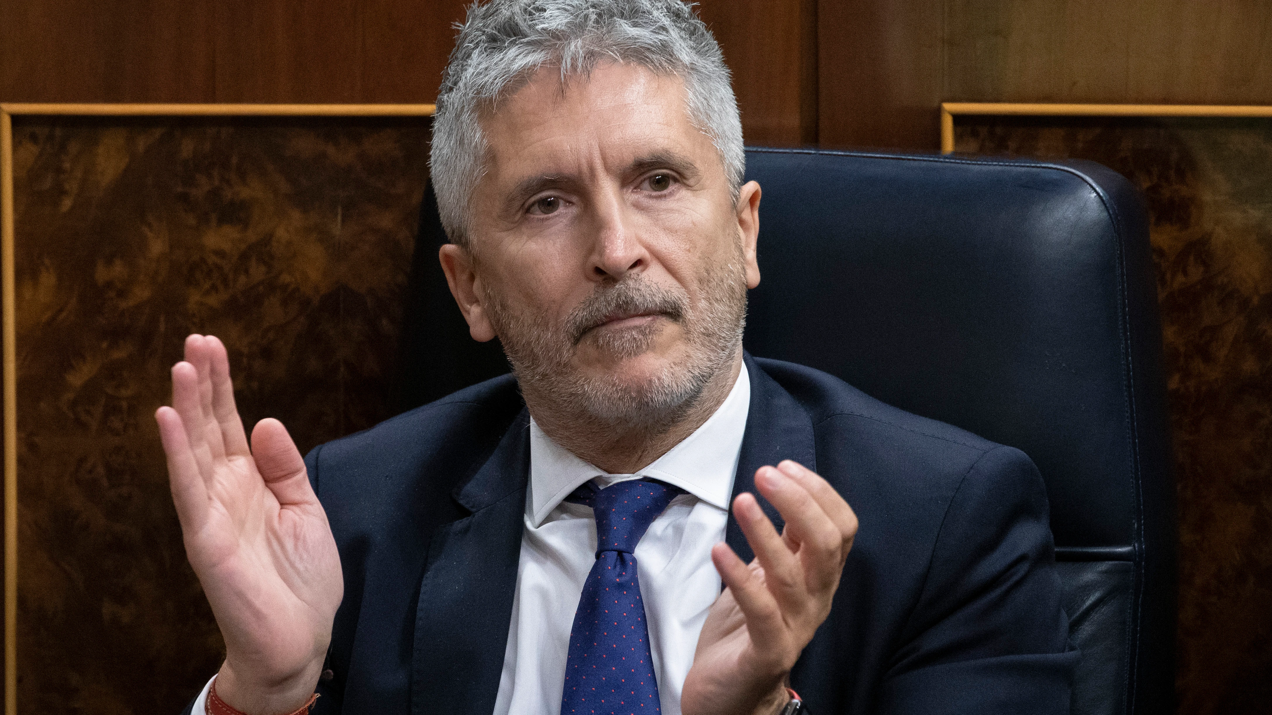 Fernando Grande-Marlaska, ministro del Interior