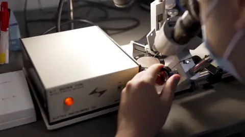 La buena noticia del día Útero