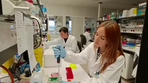 El 'talón de Aquiles' del cáncer de pulmón El 'talón de Aquiles' del cáncer de pulmón