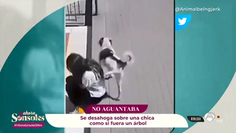 Si lo veo me lo creo Si lo veo me lo creo