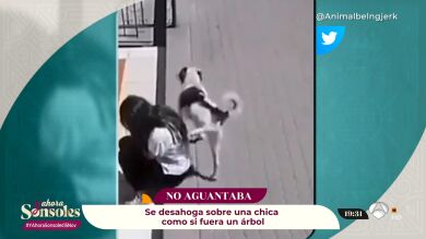 Los vídeos más virales: el uso del móvil en la calle conlleva peligros inimaginables