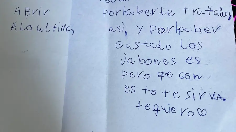 La entra&ntilde;able carta de un hijo a su madre tras realizar una trastada