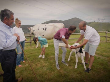 Joaquín disfruta aprendiendo a ordeñar a una vaca y se emociona al dar el biberón a una ternera 