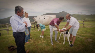 Joaquín disfruta aprendiendo a ordeñar a una vaca y se emociona al dar el biberón a una ternera 