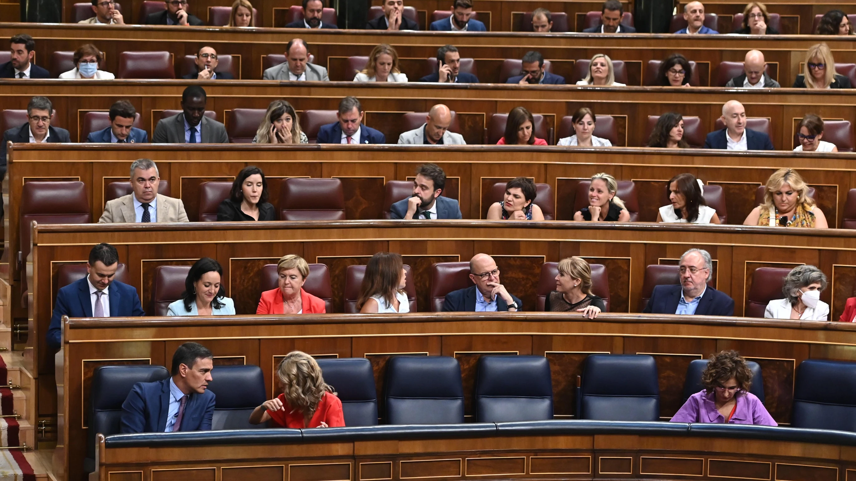 Votaci&oacute;n a viva voz