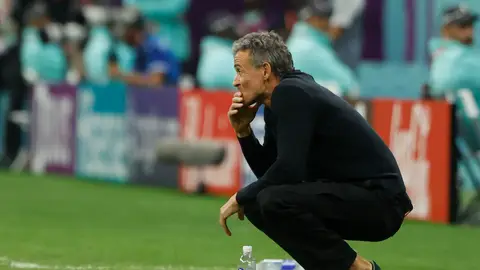 Luis Enrique, en el partido ante Alemania Luis Enrique, en el partido ante Alemania