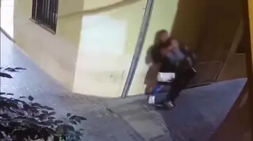 El vídeo del 'mataleón' a una turista en Málaga para robarle 