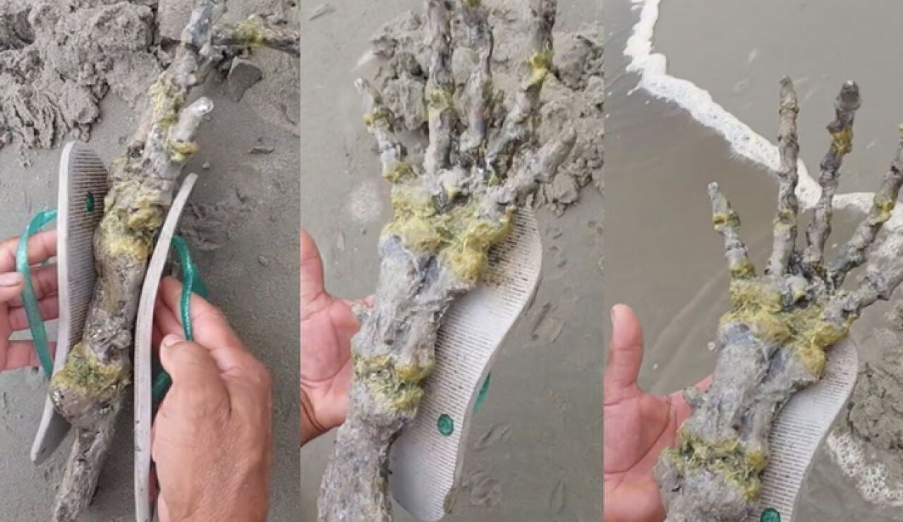 Encuentran un extraño esqueleto en una playa de Brasil
