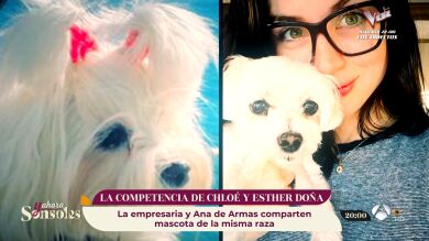 ¡Cómo dos gotas de agua! Le sale competencia a Chloé, la mascota de Esther Doña