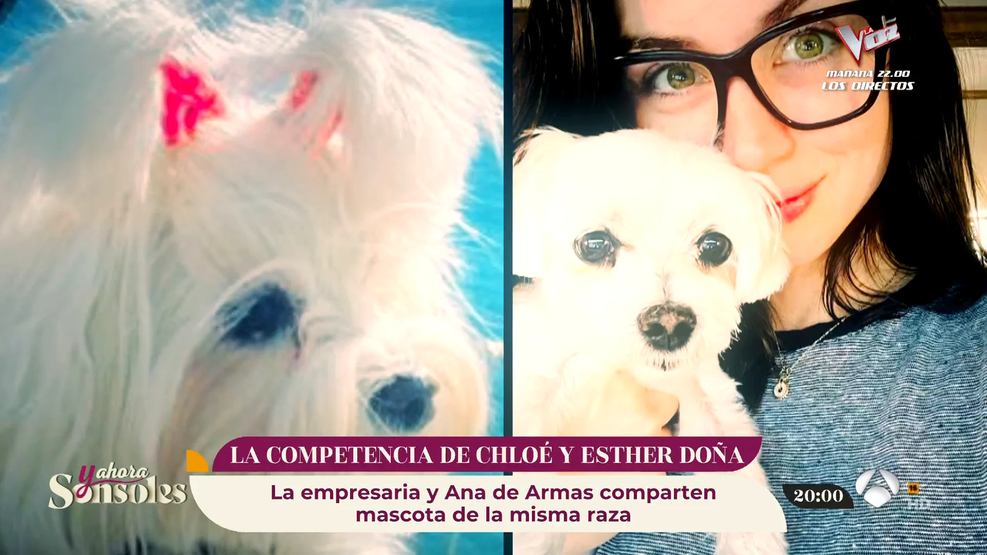 &iexcl;C&oacute;mo dos gotas de agua! Le sale competencia a Chlo&eacute;, la mascota de Esther Do&ntilde;a