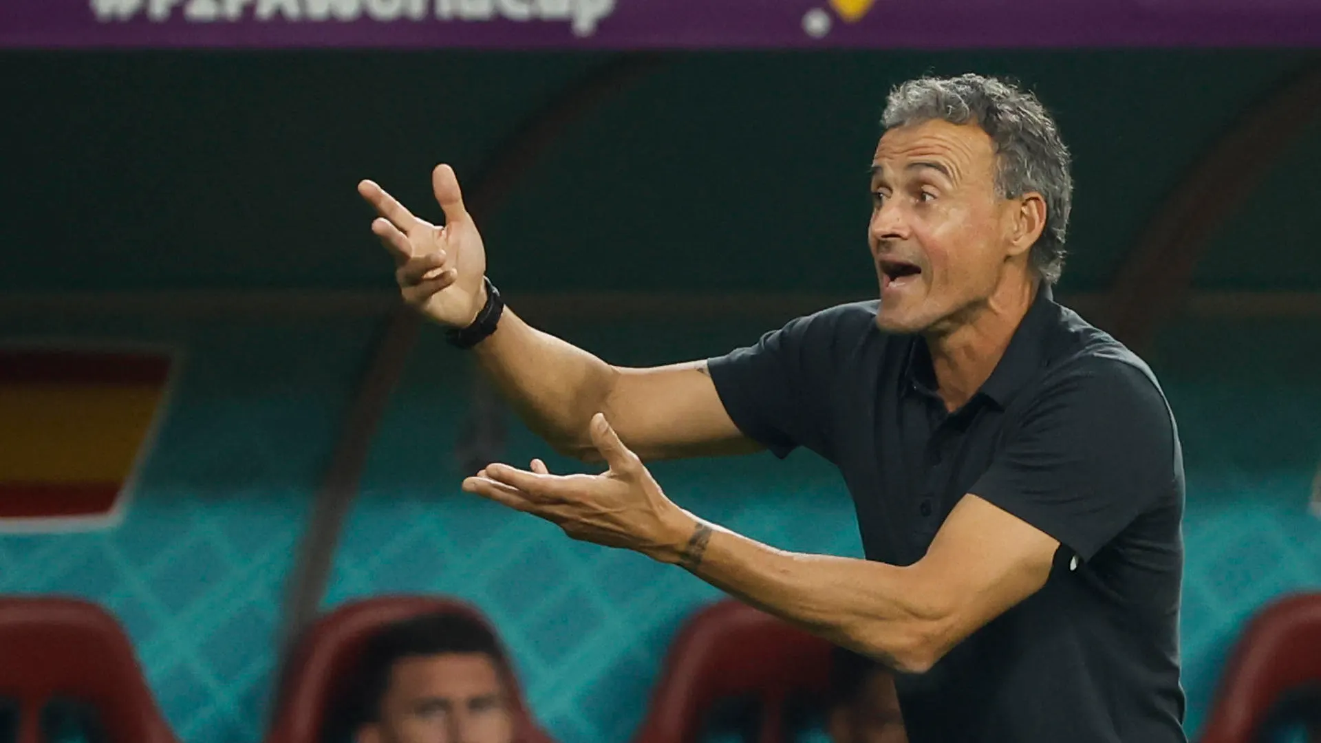 Luis Enrique, en el partido contra Jap&oacute;n