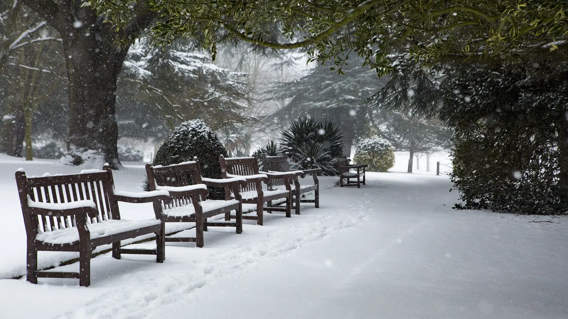 Un parque nevado Un parque nevado