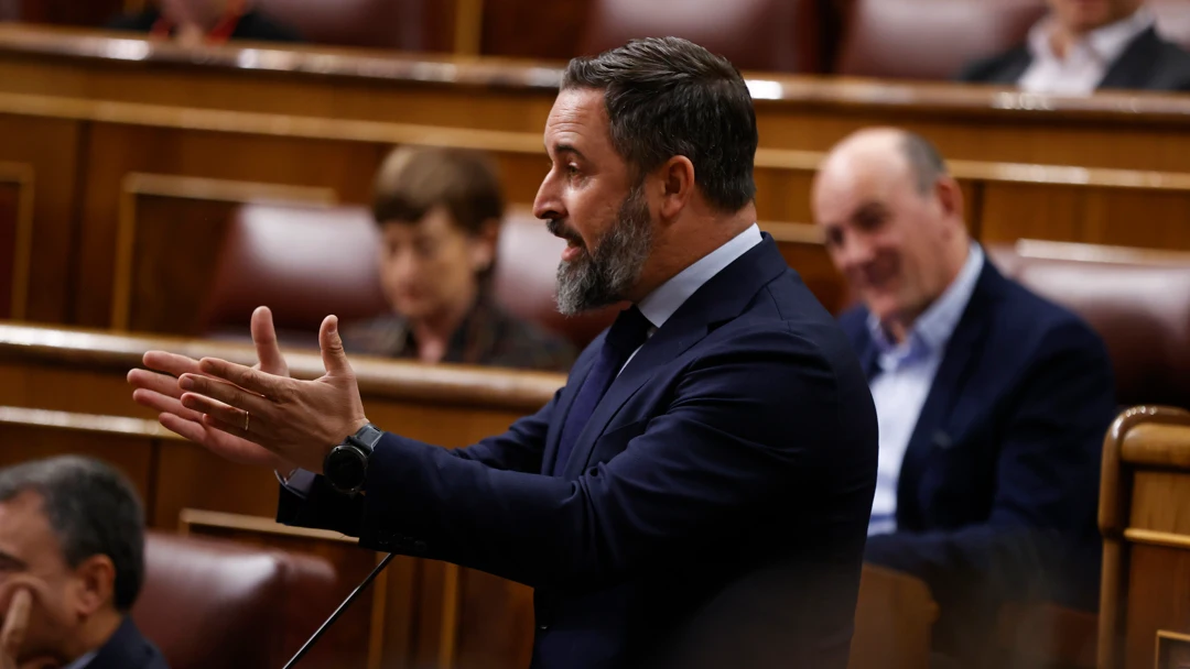 Santiago Abascal, en el Congreso