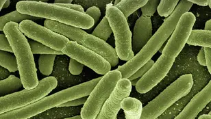 Mueren seis niños en Reino Unido por un brote de la bacteria 'Strep A'