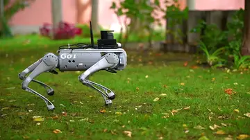 Así es Tefi, el robot español que funciona como perro guía para personas dependientes. 