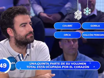 ¡Es un animal! Rafa no falla ninguna pregunta en el ‘Una de Cuatro’ ¡Es un animal! Rafa no falla ninguna pregunta en el ‘Una de Cuatro’