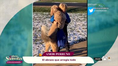 La prueba definitiva de que los niños y los perros pueden convivir, e incluso ser los mejores amigos