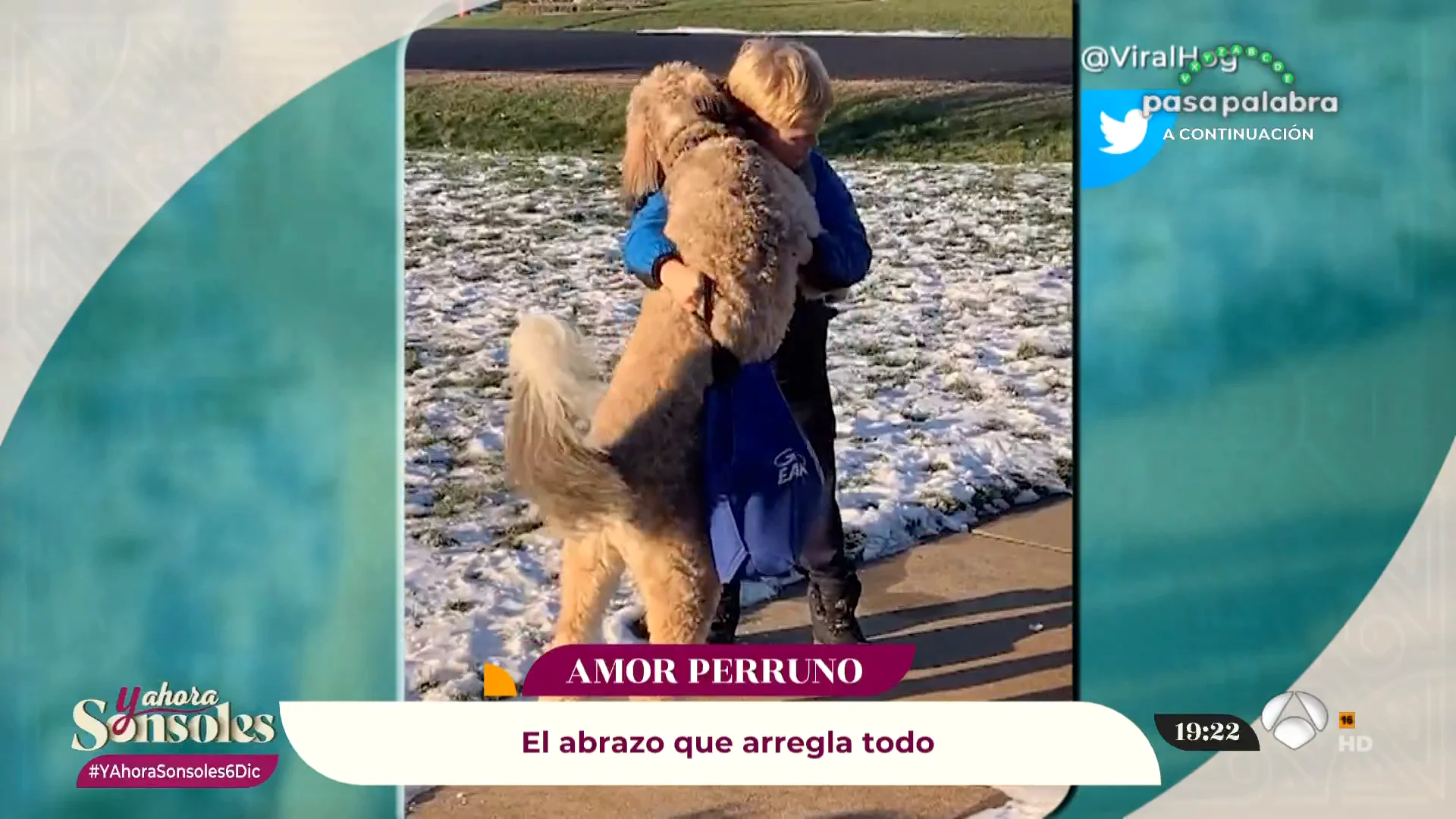 Si lo veo me lo creo Si lo veo me lo creo