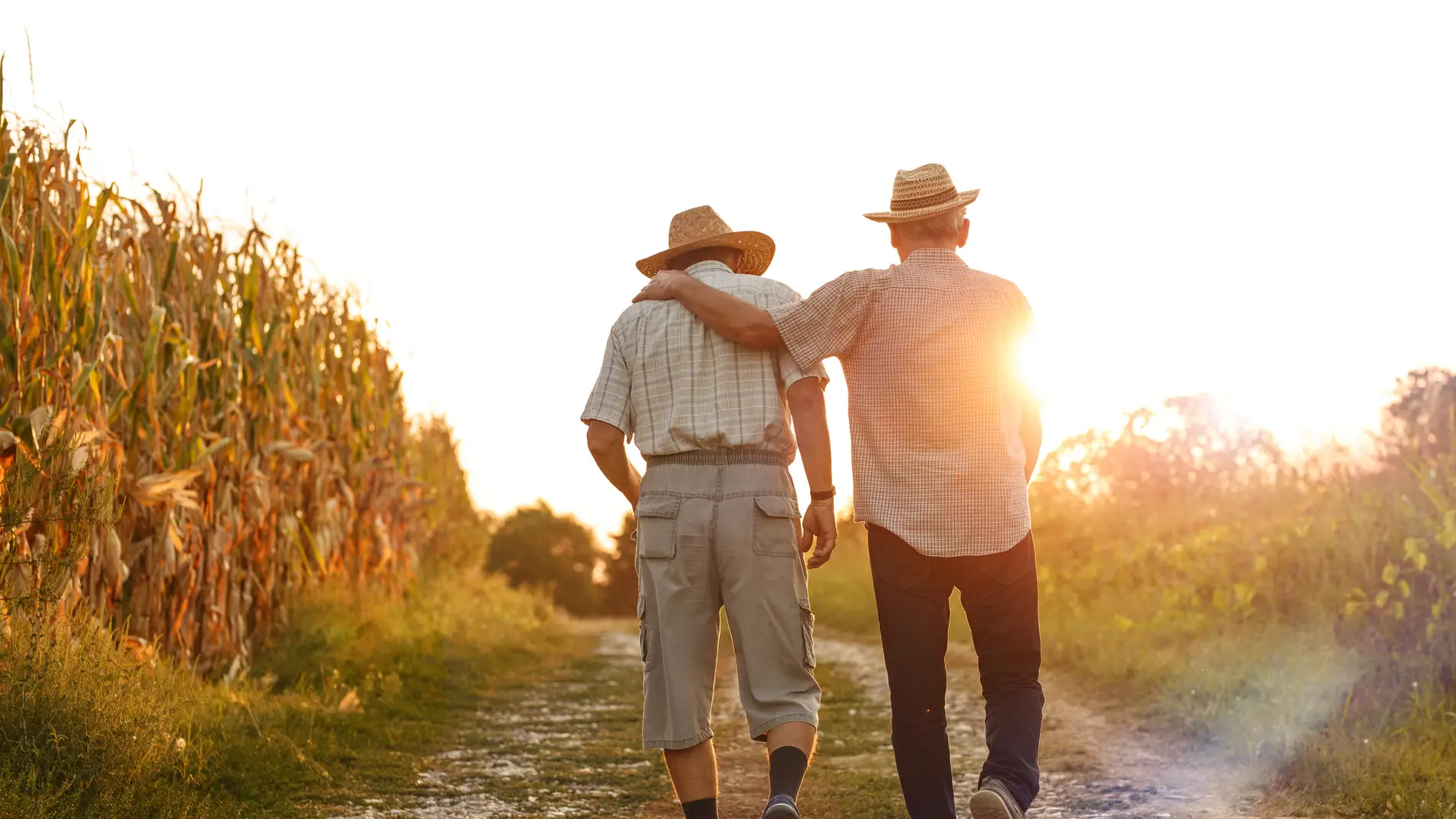 Una pareja de ancianos pasea durante un atardecer