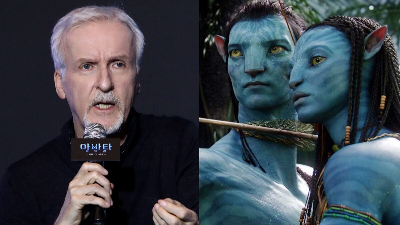 James Cameron da positivo en COVID y se perderá el estreno de 'Avatar: El sentido del agua'