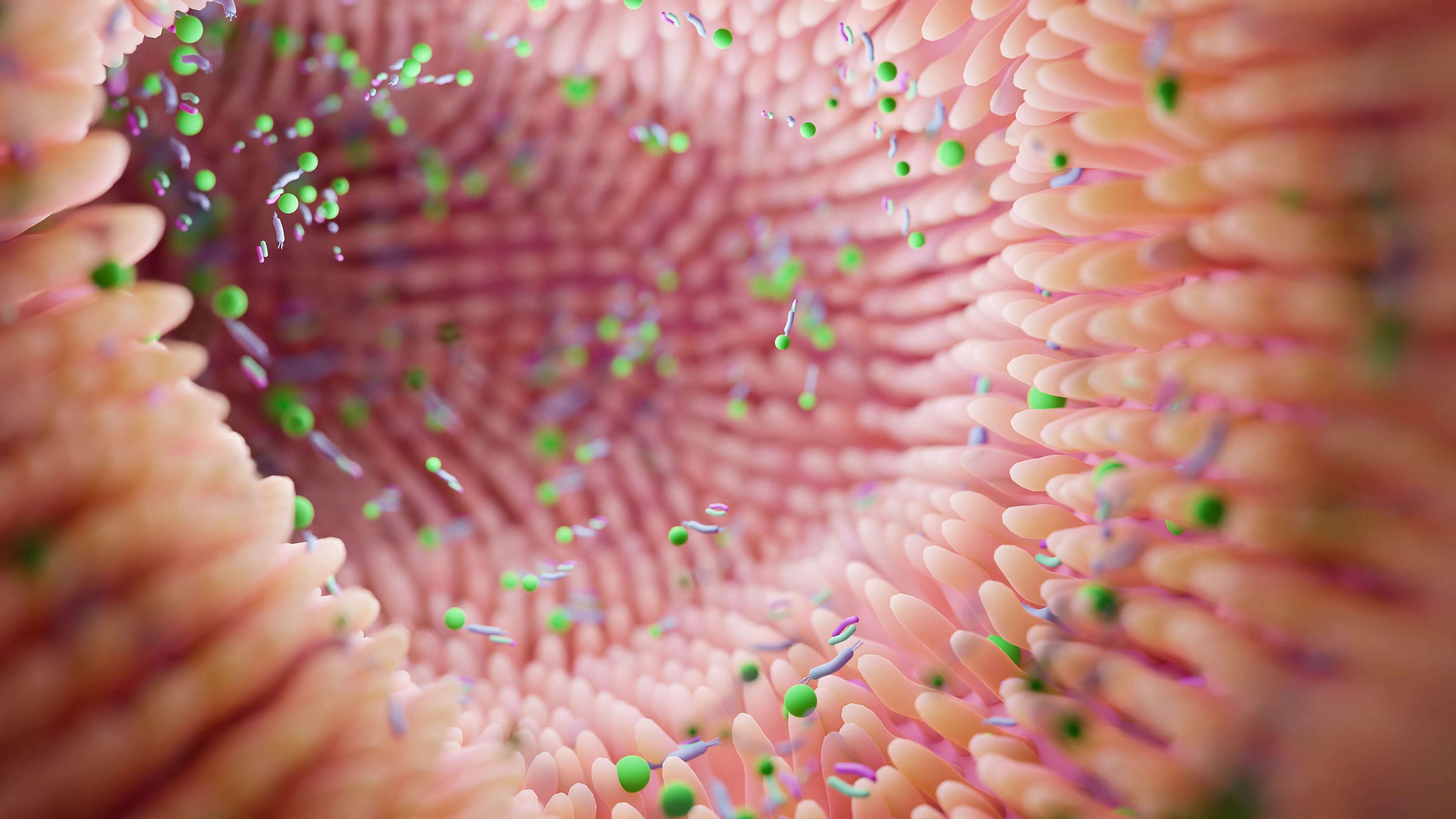 Plano detalle de las microvellosidades del intestino