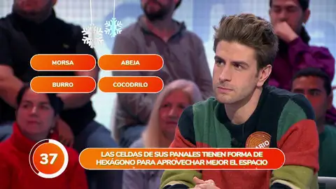Mario Marzo se “echa la responsabilidad encima” durante el ‘Una de Cuatro’: ¡Pleno para él! Mario Marzo se “echa la responsabilidad encima” durante el ‘Una de Cuatro’: ¡Pleno para él!