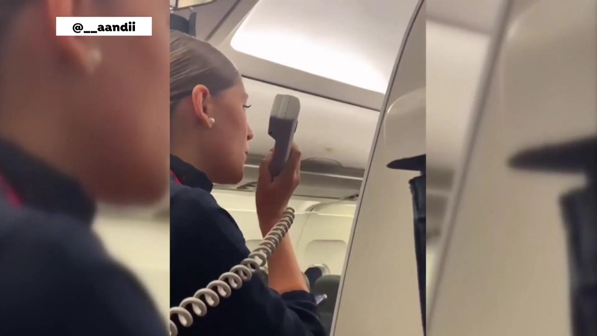 Azafata canta All I want for Christmas is you en un vuelo