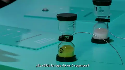 ¿Es real la regla de los 5 segundos? ¿Es real la regla de los 5 segundos?
