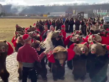 Disfrazados de osos en Rumanía Disfrazados de osos en Rumanía